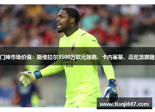 门神市场价值：斯维拉尔3500万欧元领跑，卡内塞基、迈尼昂跟随